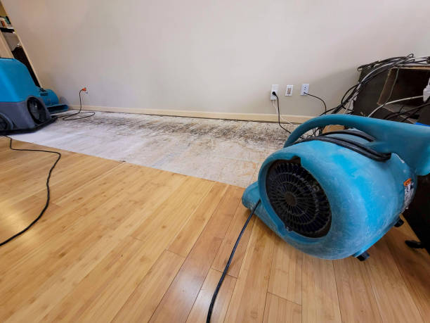 Professional Structural Drying technician working in Cookeville, TN